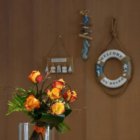 Alessandria Lignano Sabbiadoro