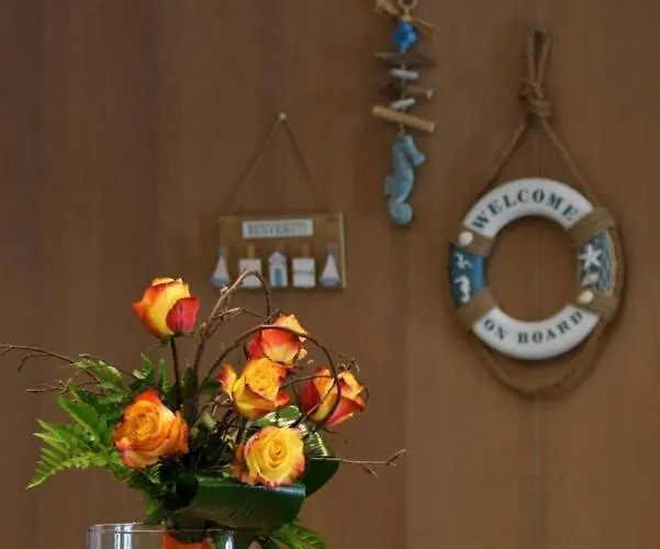 Alessandria Lignano Sabbiadoro